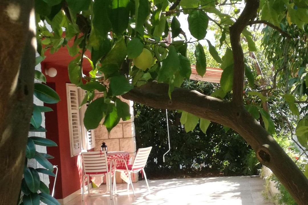 Photo of Patio Balcony in Cove Tri Zala (Zrnovo)