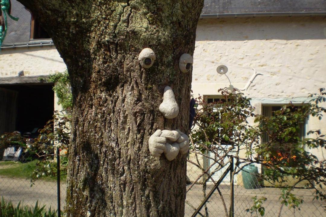 Photo of Others in Cheille