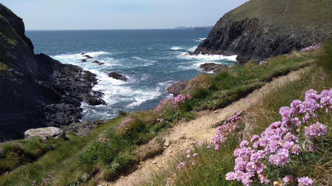 Photo of Others in St Brides