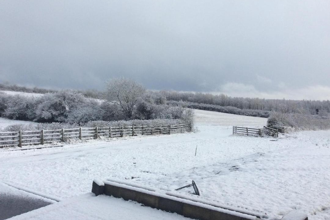 Photo of Others in Ripley