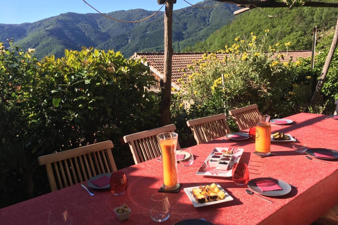 Photo of Others in Barnas