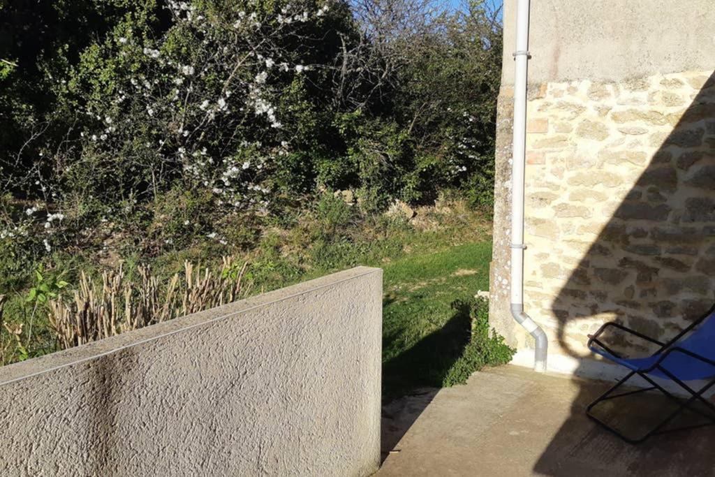 Photo of Others in Mas-Saintes-Puelles