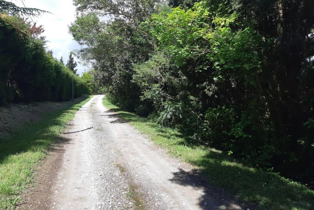 Photo of Outdoor in Mas-Saintes-Puelles