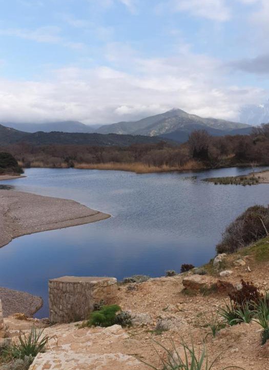 Photo of Others in Galeria