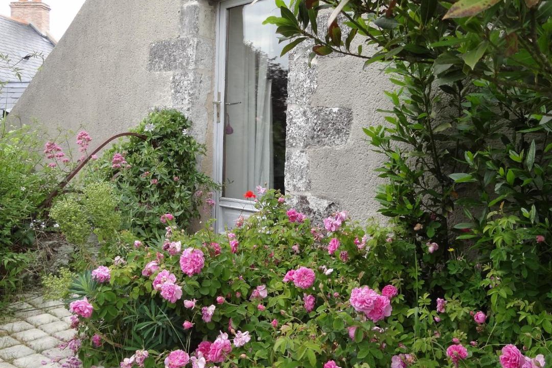 Photo of Others in Rochefort-sur-Loire