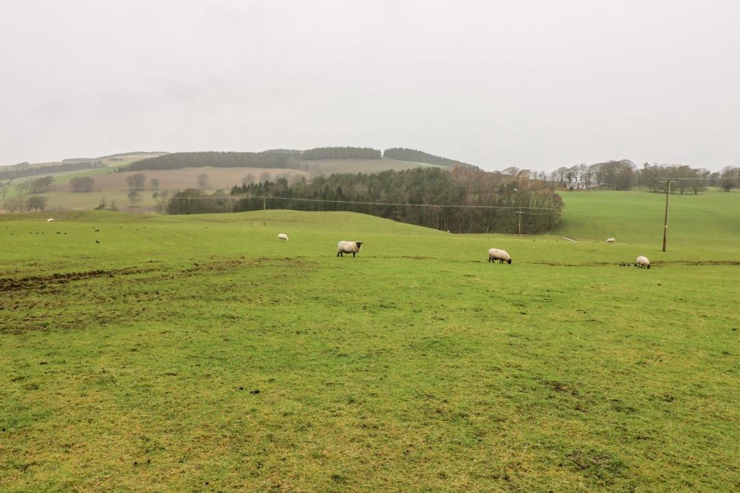 Photo of Outdoor in Biggar