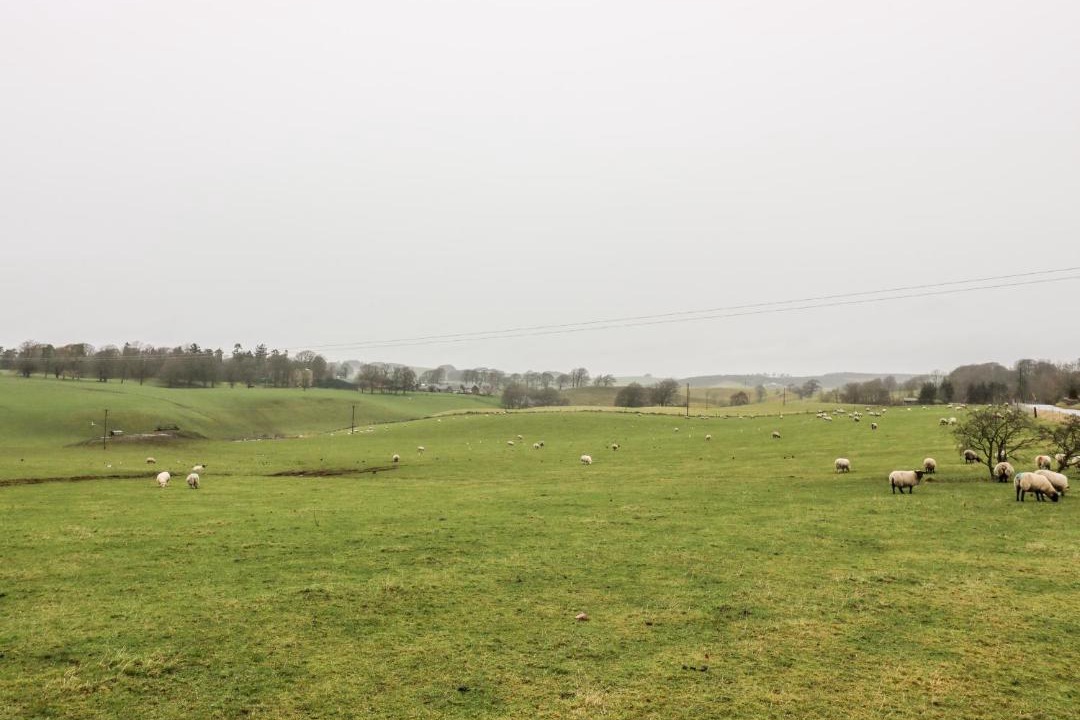 Photo of Outdoor in Biggar