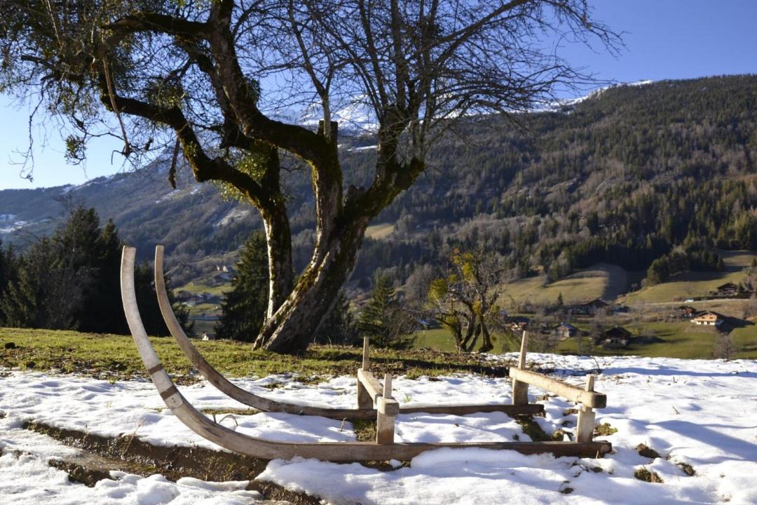 Photo of Outdoor in Les Villards-sur-Thones