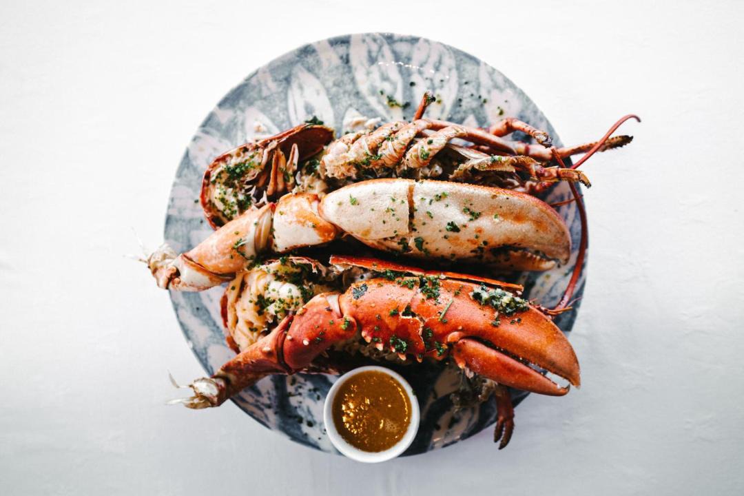 Photo of Others in Port Appin