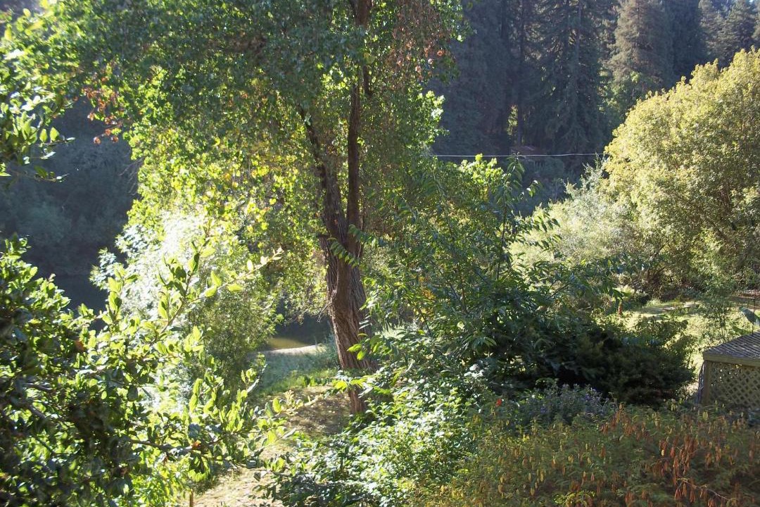 Photo of Others in Northwood