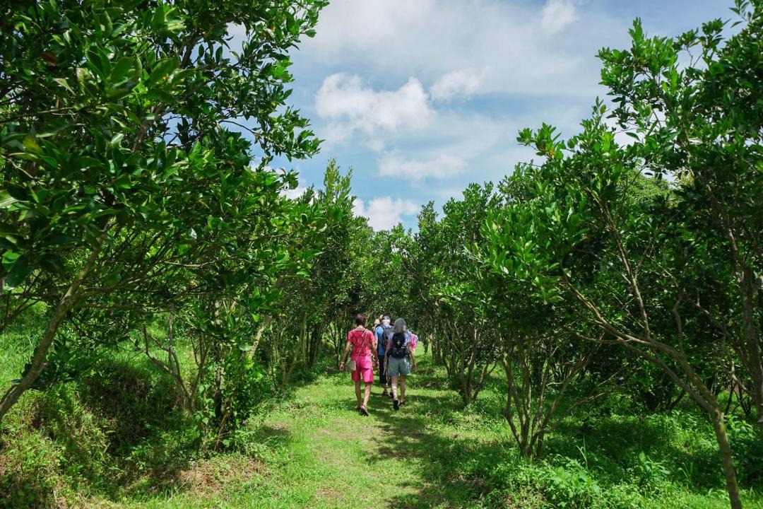 Photo of Others in Pelaga