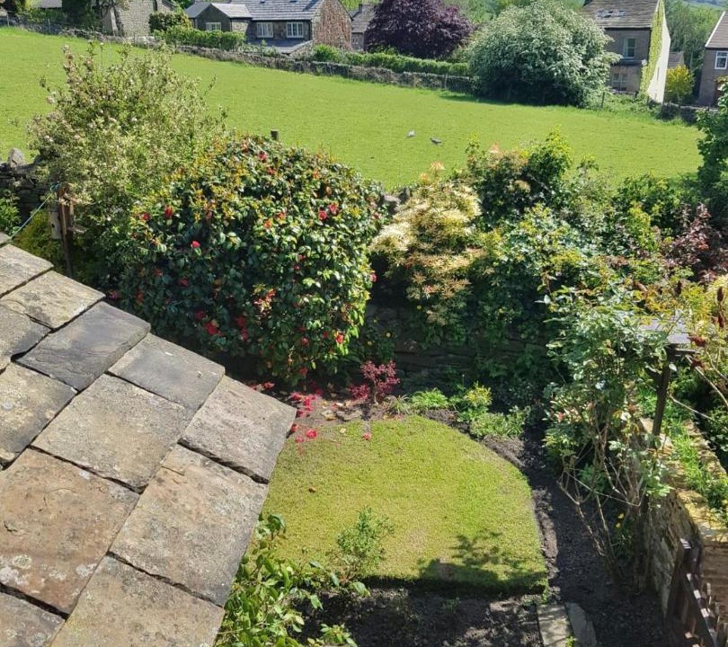 Photo of Others in Padfield