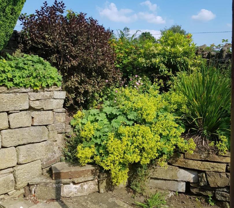 Photo of Others in Padfield