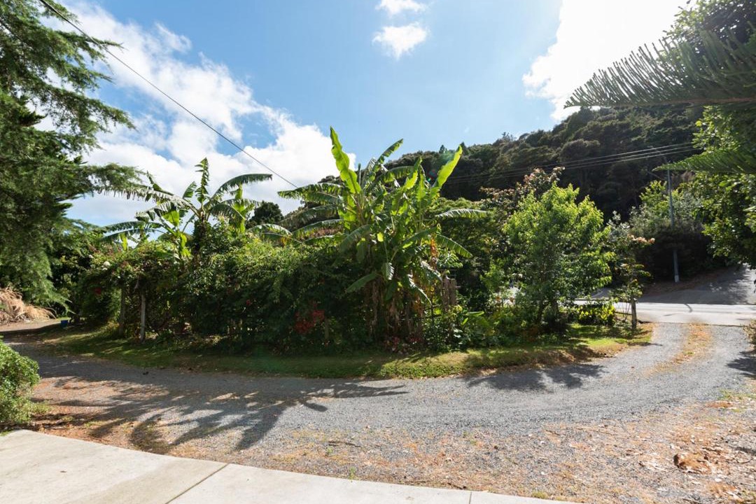 Photo of Others in Paihia