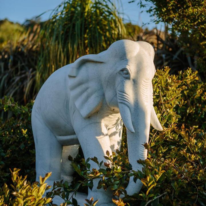 Photo of Others in Broughton Vale