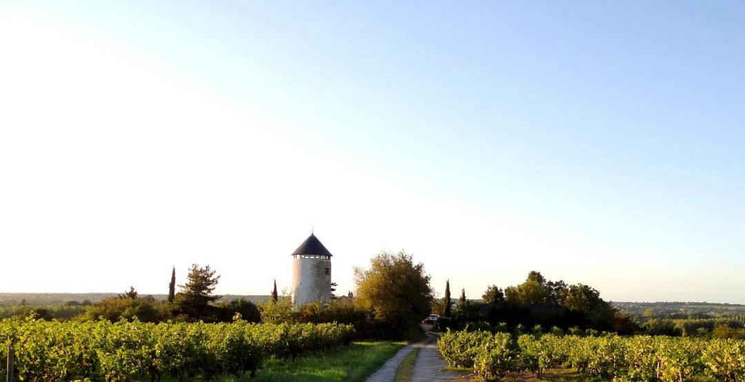 Photo of Others in Rochefort-sur-Loire