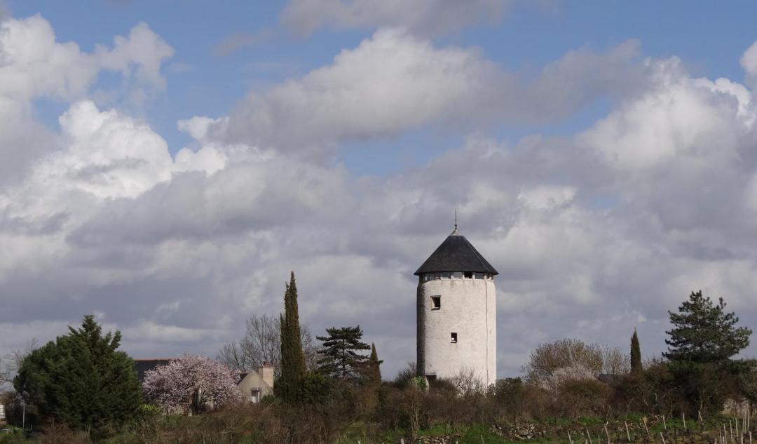 Photo of Others in Rochefort-sur-Loire