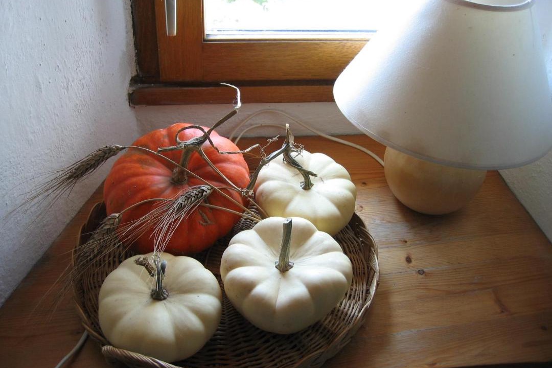 Photo of Others in Rochefort-sur-Loire