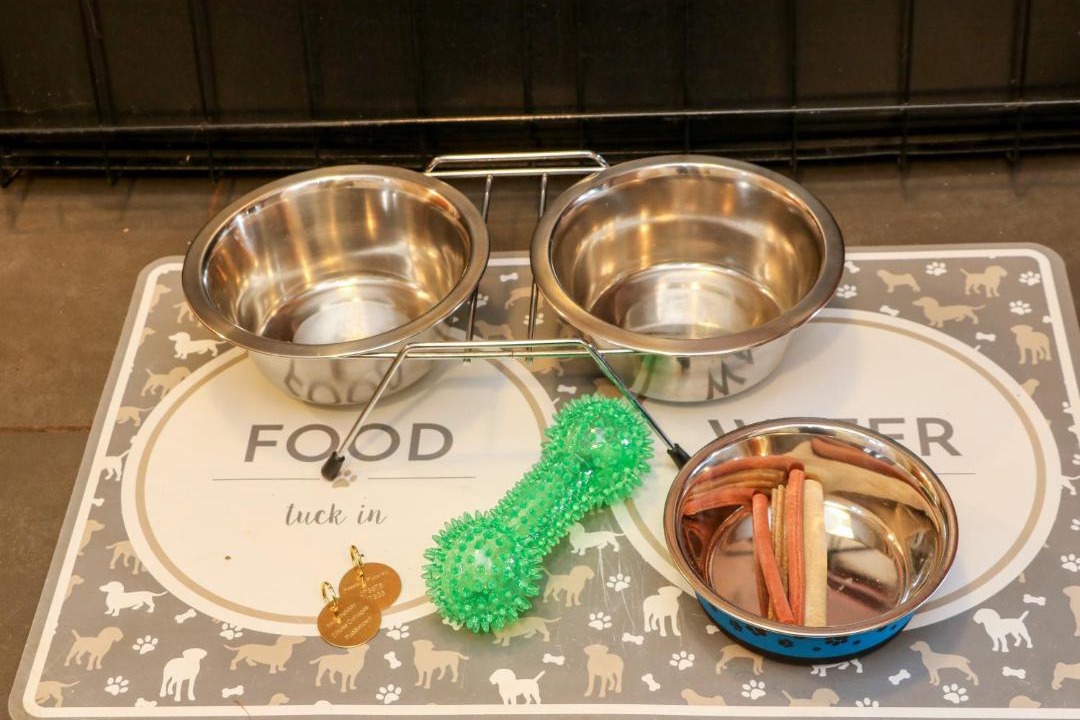 Photo of Others in Haselbury Plucknett