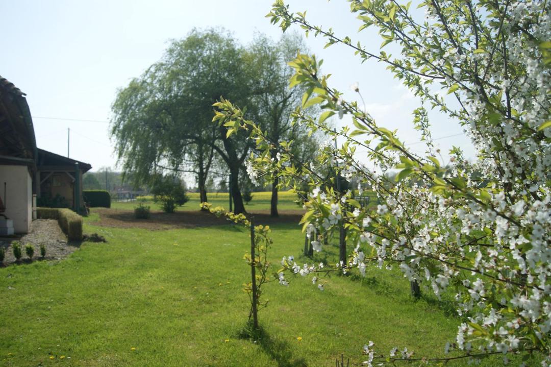 Photo of Others in Bruailles