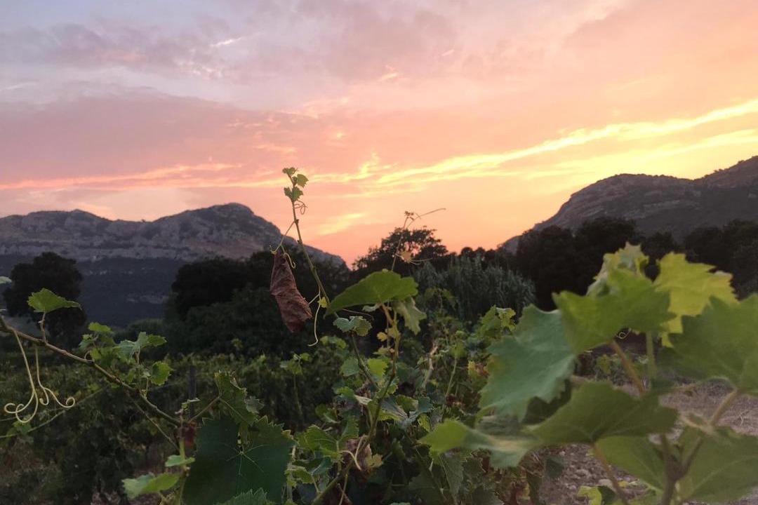 Photo of Outdoor in Poggio-dʼOletta