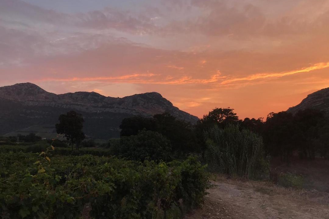 Photo of Outdoor in Poggio-dʼOletta