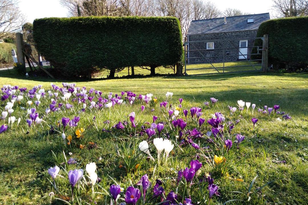 Photo of Others in St Brides