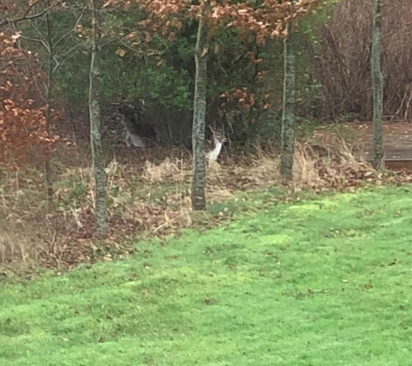 Photo of Others in Aeroskobing