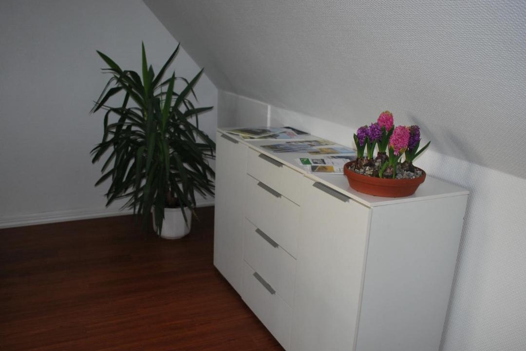 Photo of Others in Aeroskobing