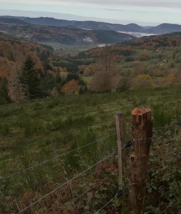 Photo of Others in Ottrott