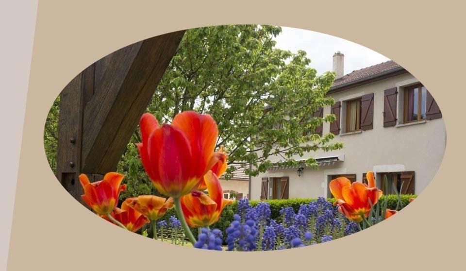 Photo of Others in Nolay