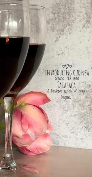 Photo of Others in Olivebridge