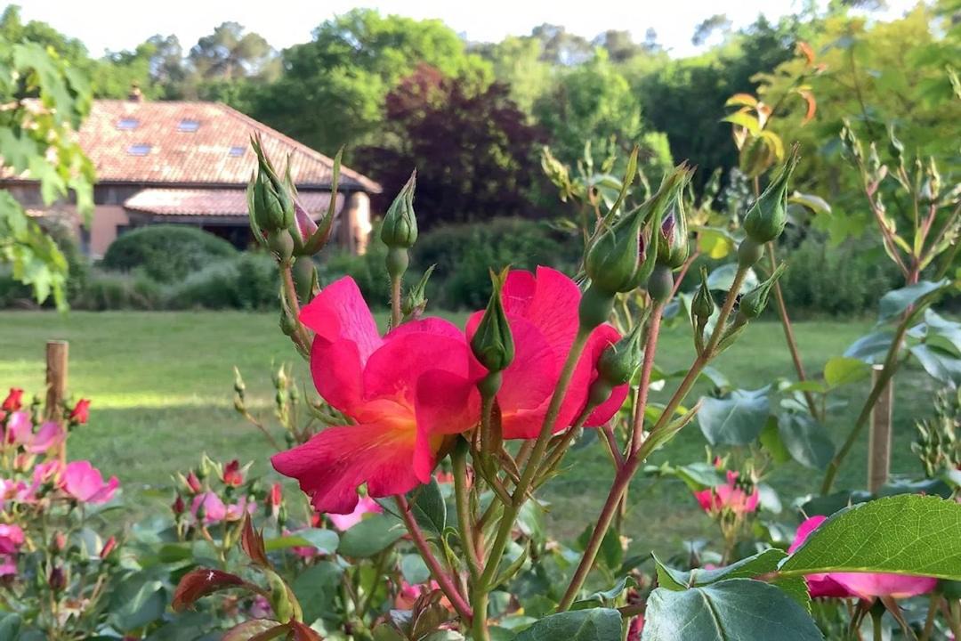 Photo of Others in Pontonx-sur-l'Adour