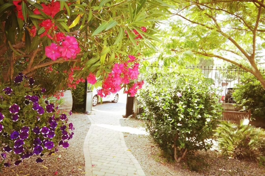 Photo of Others in Homps