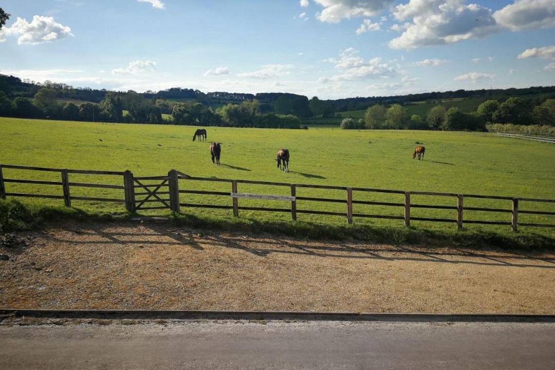 Photo of Outdoor in Andover