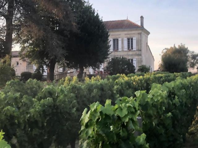 Photo of Others in Pugnac