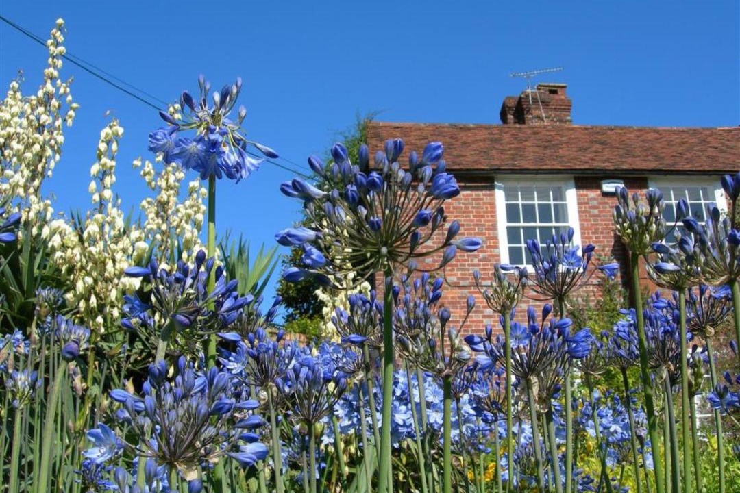 Photo of Buildings in Nettlestead