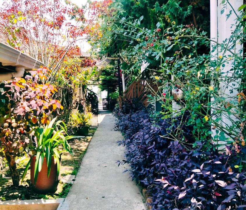 Photo of Others in Kundasang