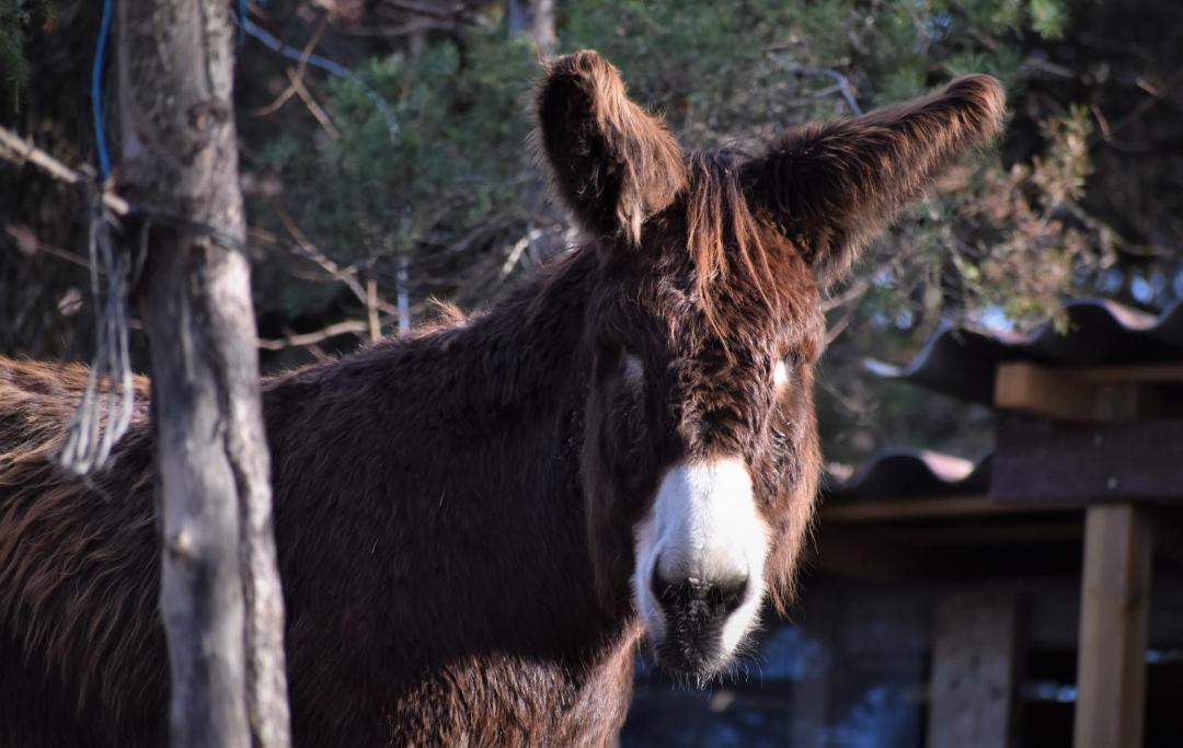 Photo of Others in Pont-de-Barret