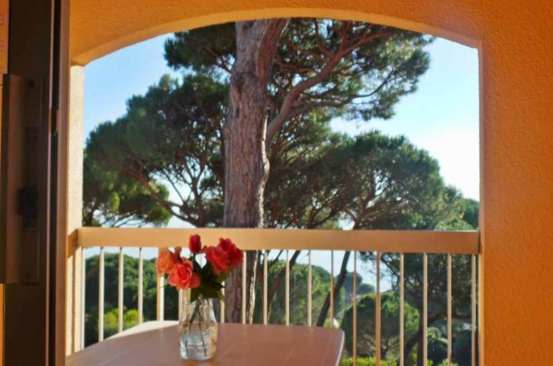 Photo of Patio Balcony in La Nartelle