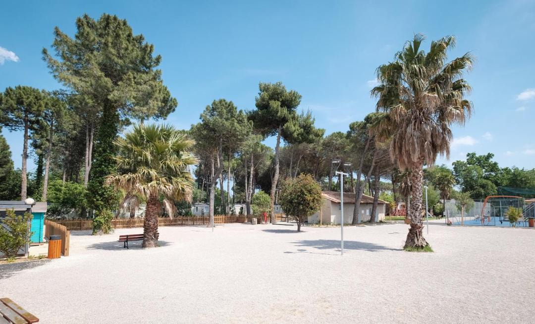 Photo of Others in Argeles-sur-Mer