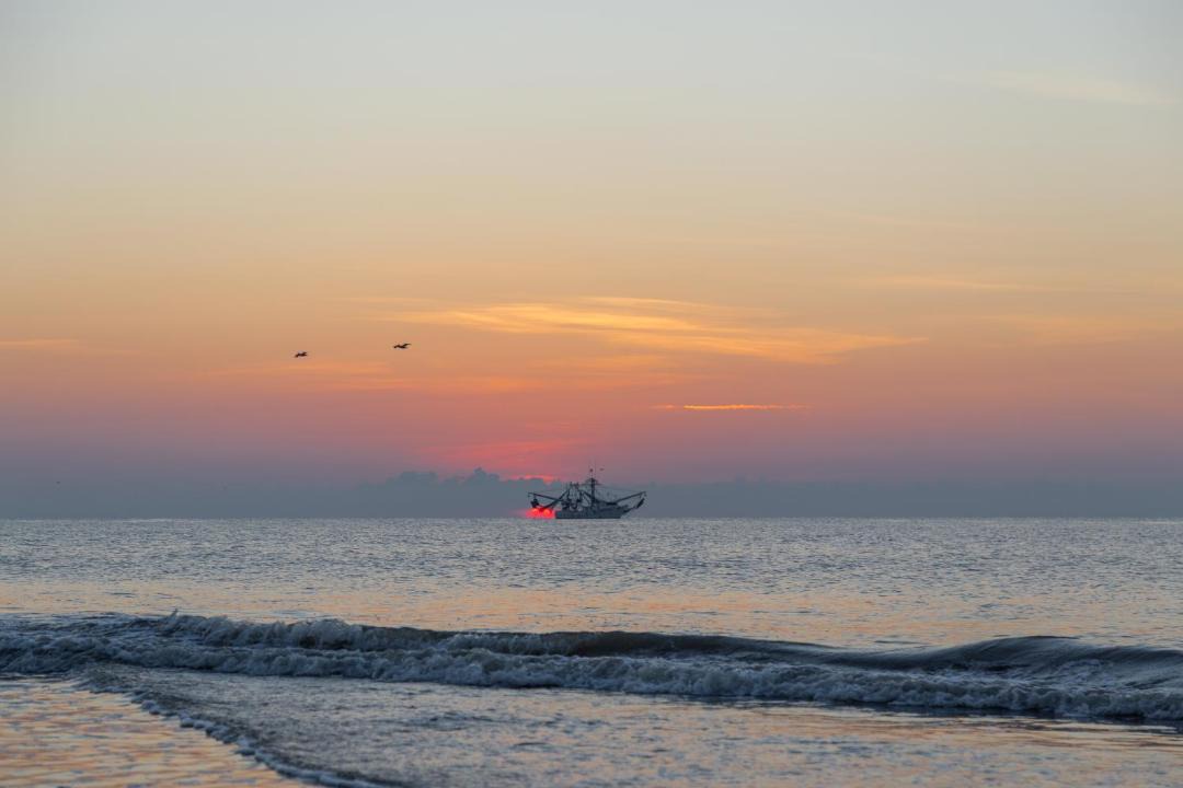 Photo of Others in Palmetto Dunes