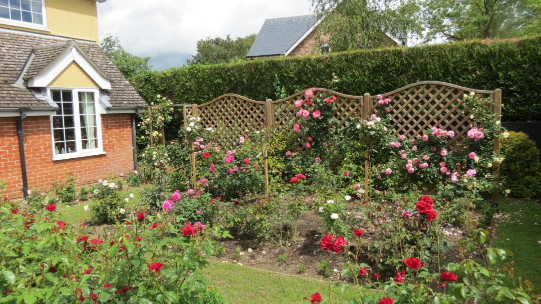 Photo of Others in Alpheton