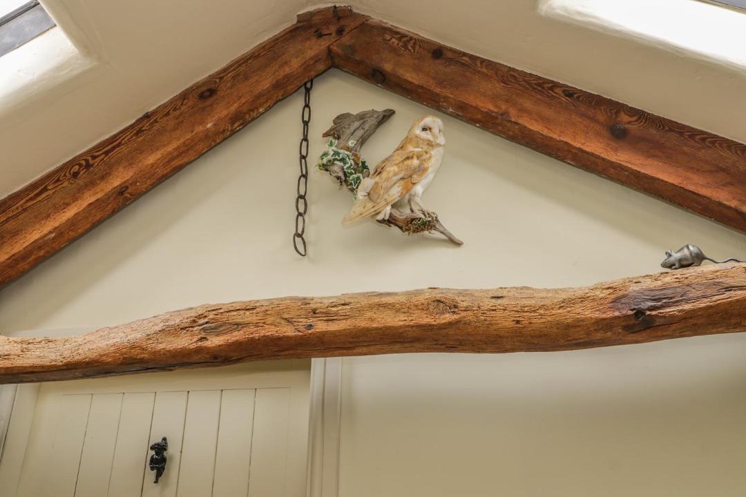 Photo of Others in Staintondale