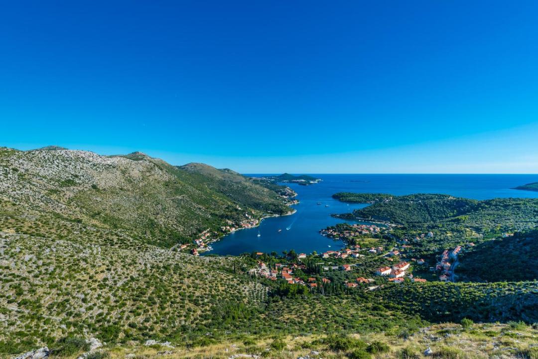 Photo of Others in Zaton