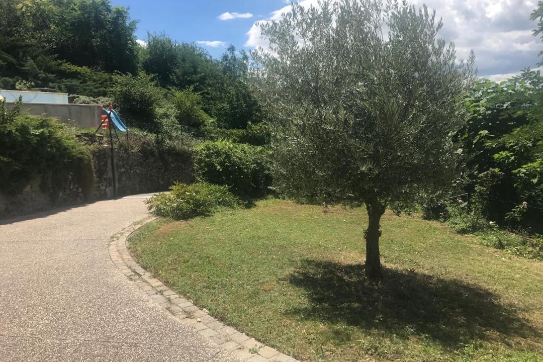 Photo of Outdoor in Vienne