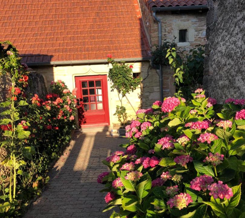 Photo of Others in Aze