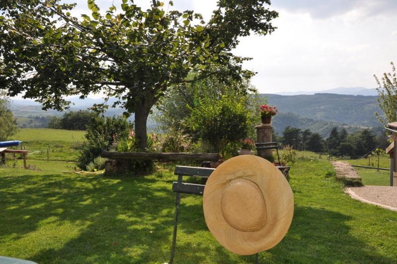 Photo of Others in Plats