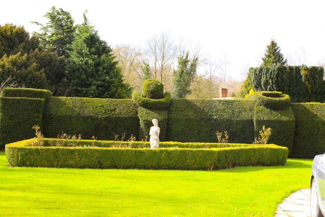 Photo of Others in Dunmow