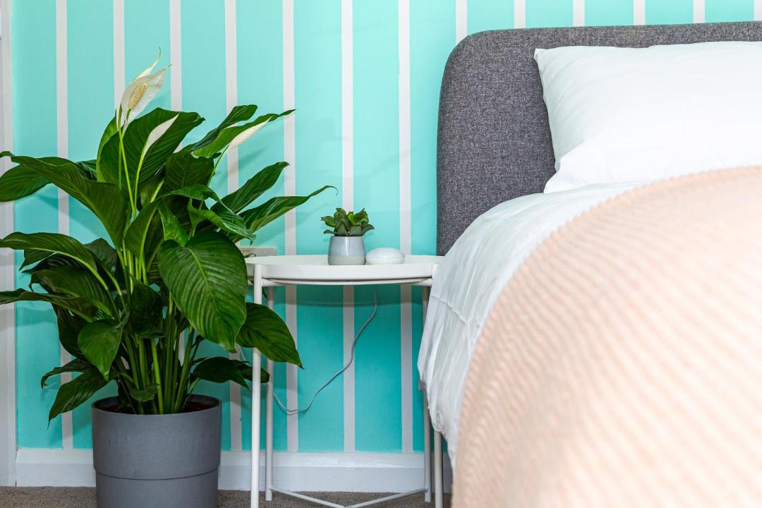 Photo of Bedroom in Cambridge City Centre